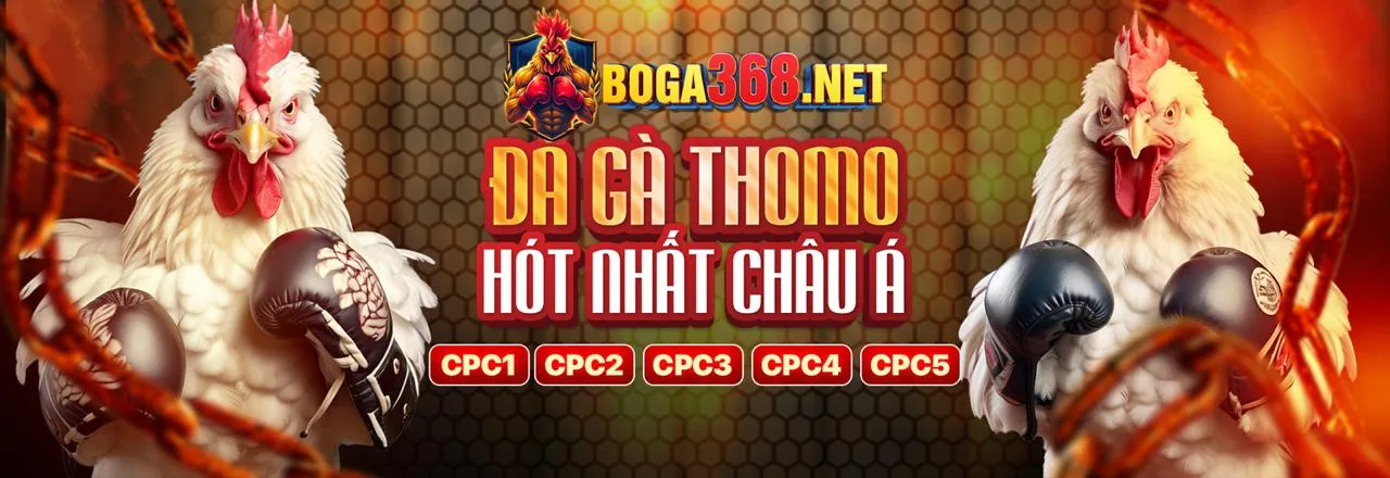 Đá gà kịch tính tại mv666 link vào